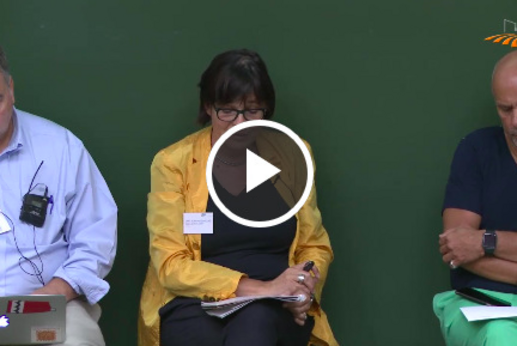 ITS Conference 2017 Panel 1 