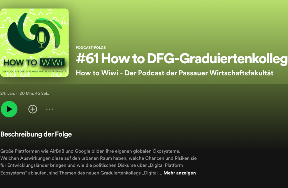 How to WiWi: #61 How to DFG-Graduiertenkolleg